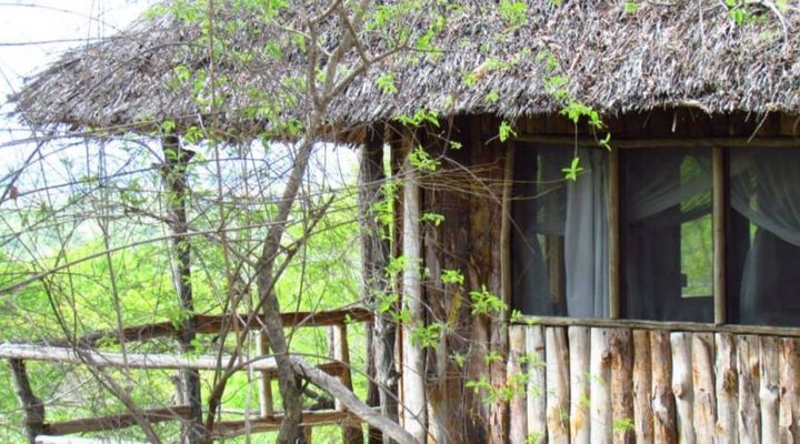 Ndovu Lodges And Camps