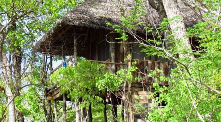 Ndovu Lodges And Camps