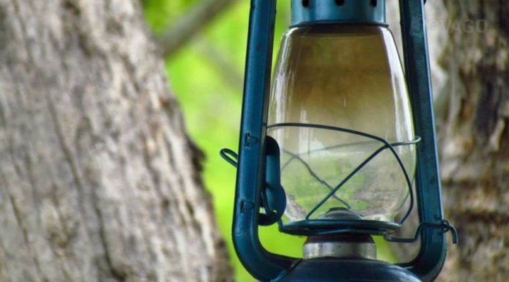 Ndovu Lodges And Camps