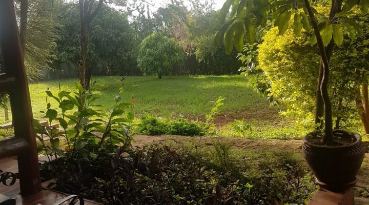 Kigwa Guest Cabins