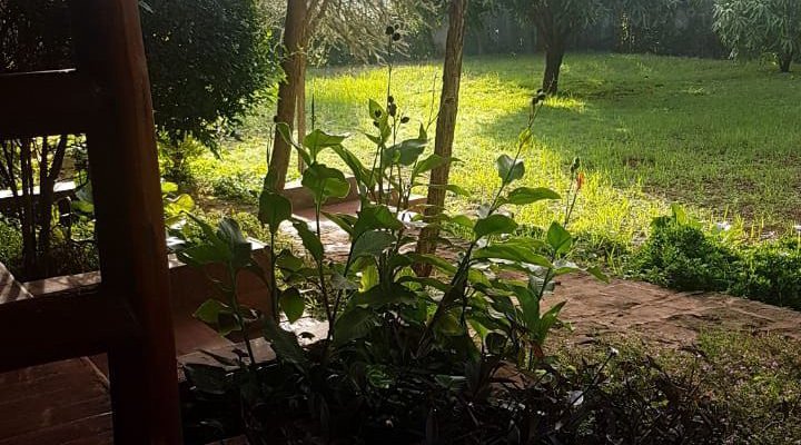Kigwa Guest Cabins