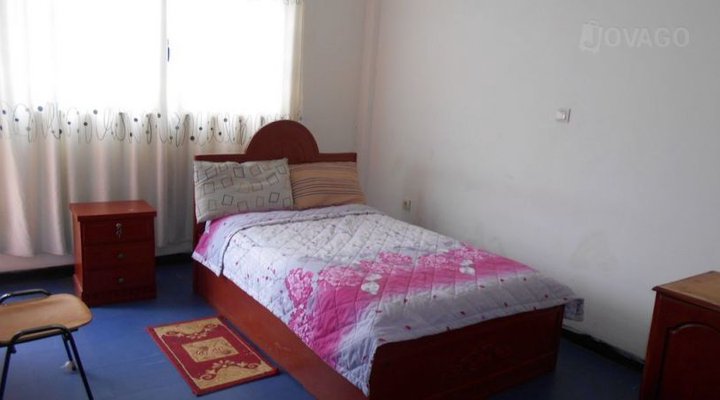 Wosenyeleshe Argaw Pension