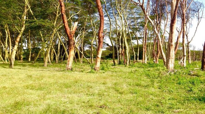 Hippo Safaris Resort
