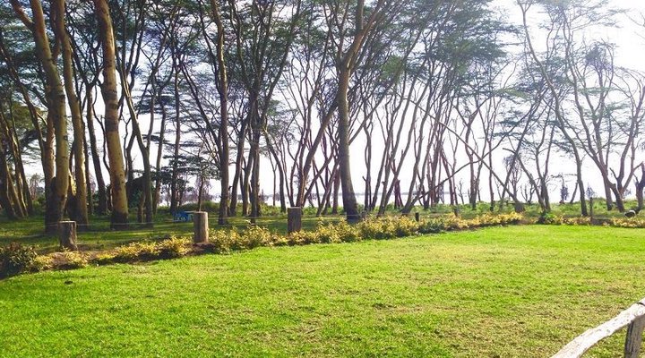 Hippo Safaris Resort