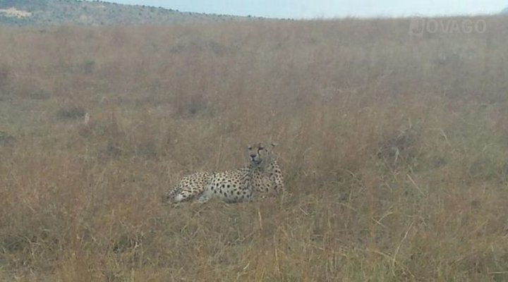 Destiny Eco Camp Mara