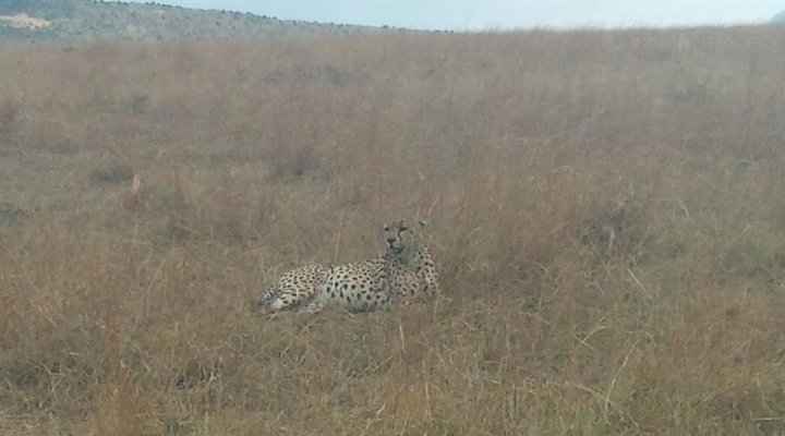 Destiny Eco Camp Mara