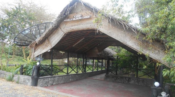 Momella Wildlife Lodge