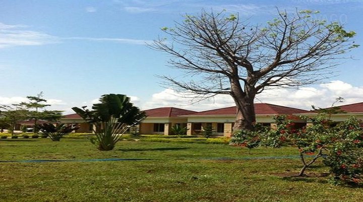 Mikoma Beach Lodge