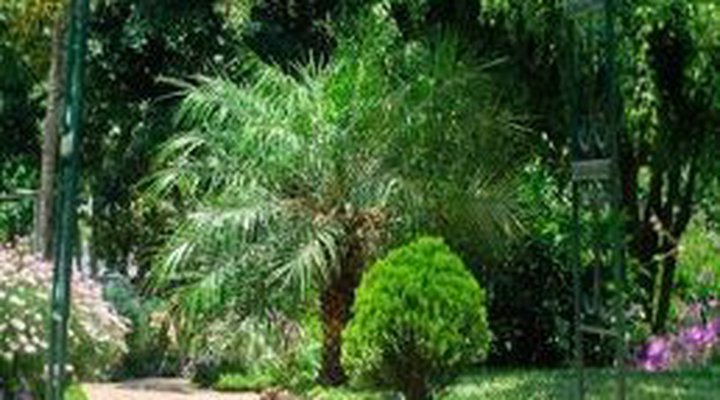 Mwafika Garden Lodge