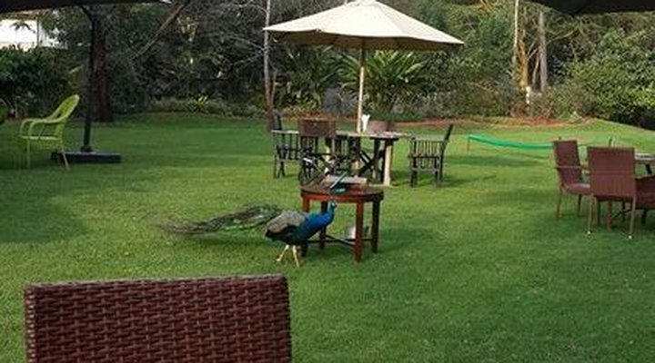 Ololooitikoshi Camp & Resort