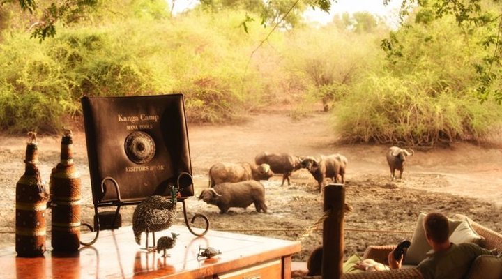 Kanga Camp