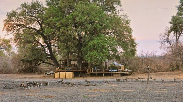 Kanga Camp