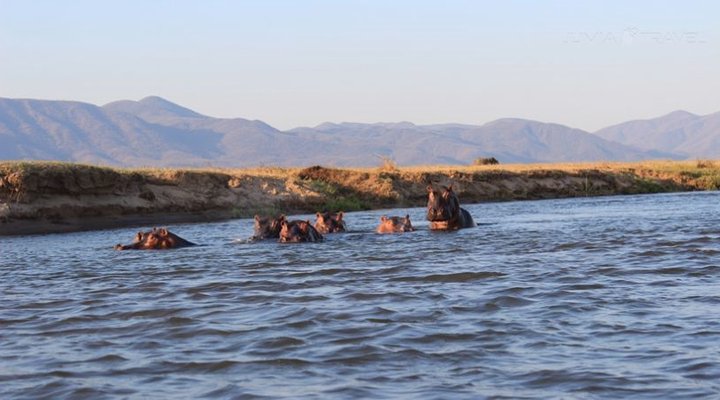 Zambezi Expeditions