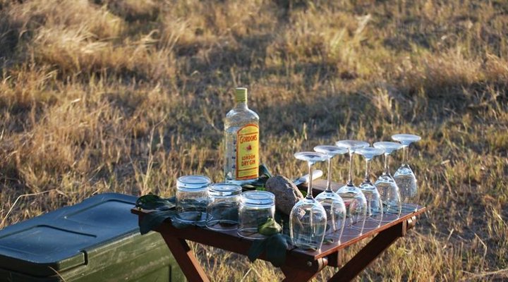 Zambezi Expeditions