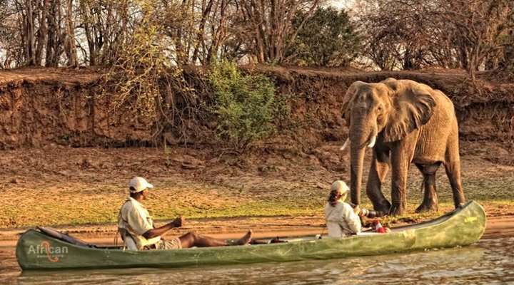 Zambezi Expeditions