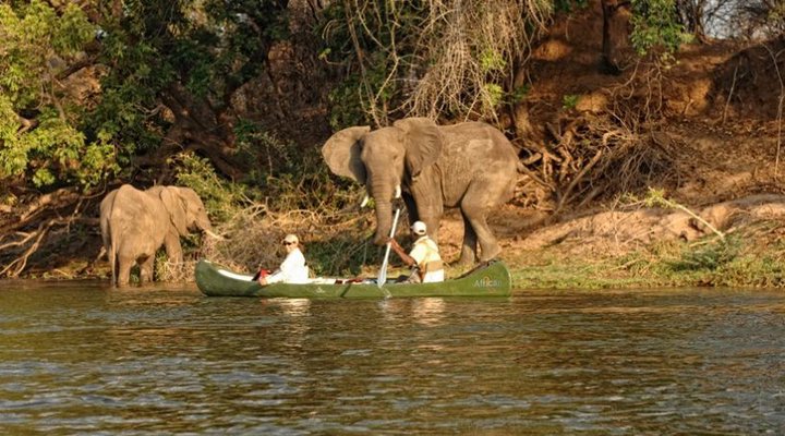 Zambezi Expeditions