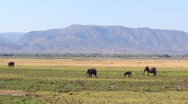 Zambezi Expeditions