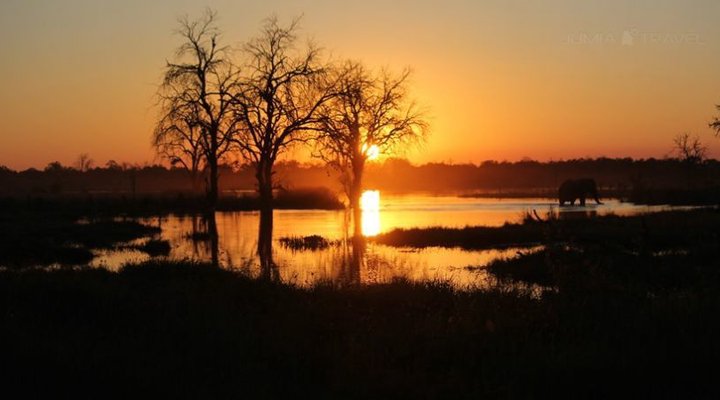 Zambezi Expeditions