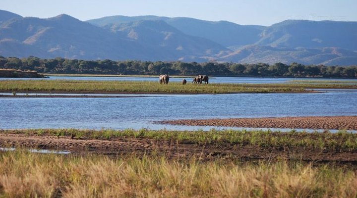 Zambezi Expeditions