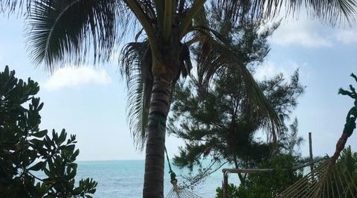 Queen of Sheba Beach Lodge