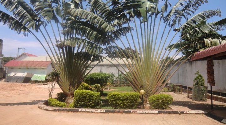Eliana Guest House