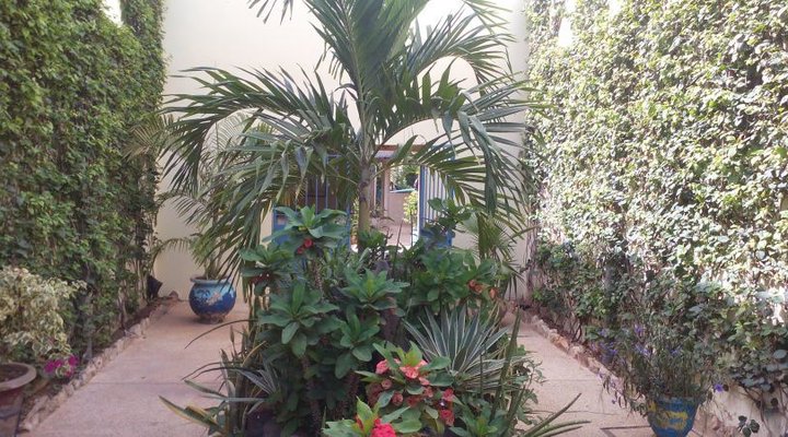Natangue 1 Saly