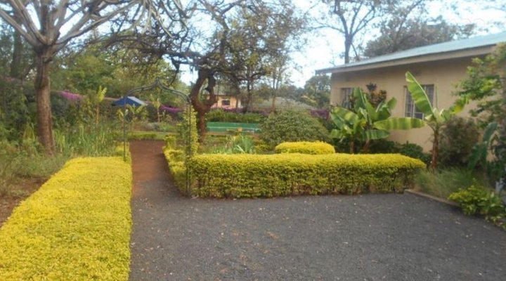 Jacaranda Home
