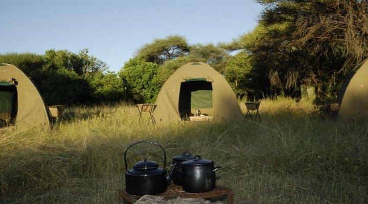 Mikumi Adventure Lodge