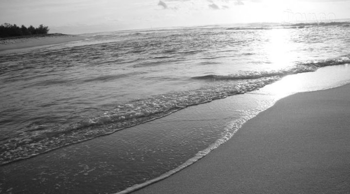 Southern Cottages Diani