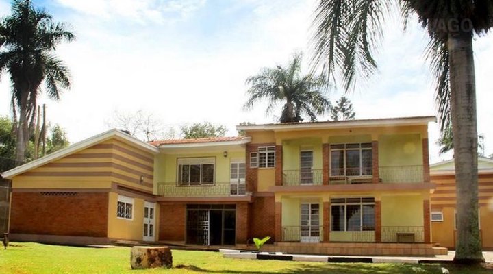 Blue Hummingbirds B & B