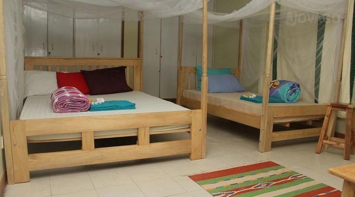 Blue Hummingbirds B & B