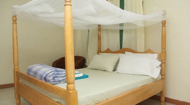 Blue Hummingbirds B & B