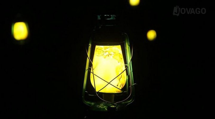 Blue Hummingbirds B & B