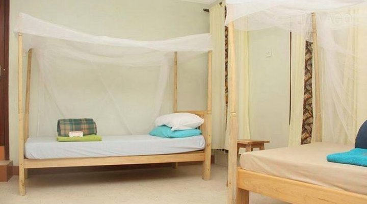 Blue Hummingbirds B & B