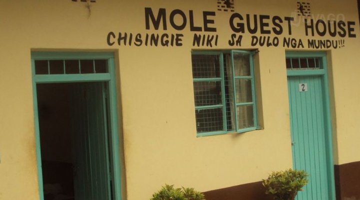 Mole Guest House