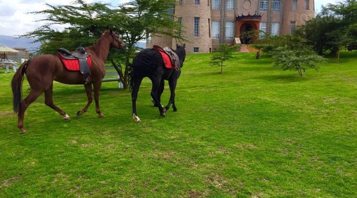 Tafaria Castle & Country Lodge