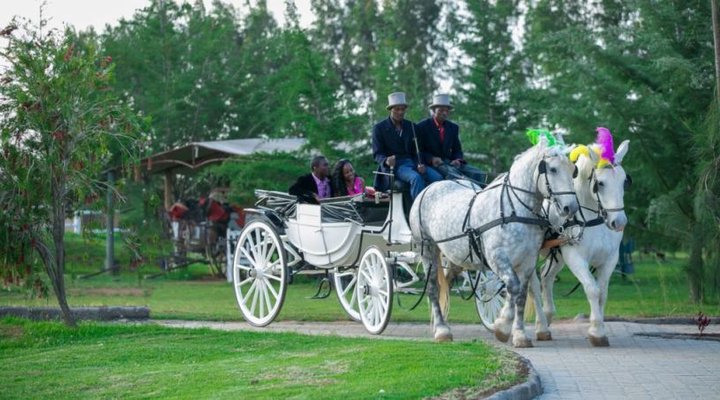 Tafaria Castle & Country Lodge