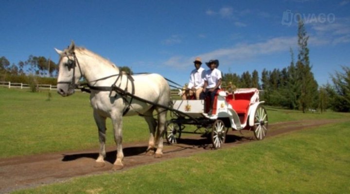 Tafaria Castle & Country Lodge