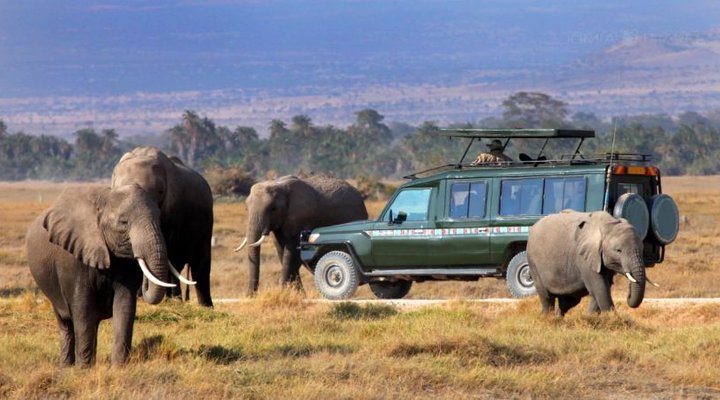 Tafaria Castle & Country Lodge