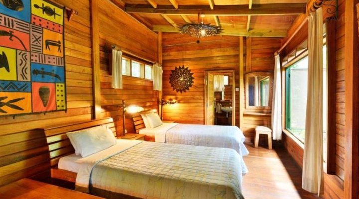 The Rainforest Lodge