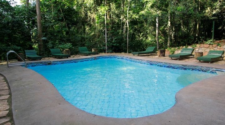 The Rainforest Lodge