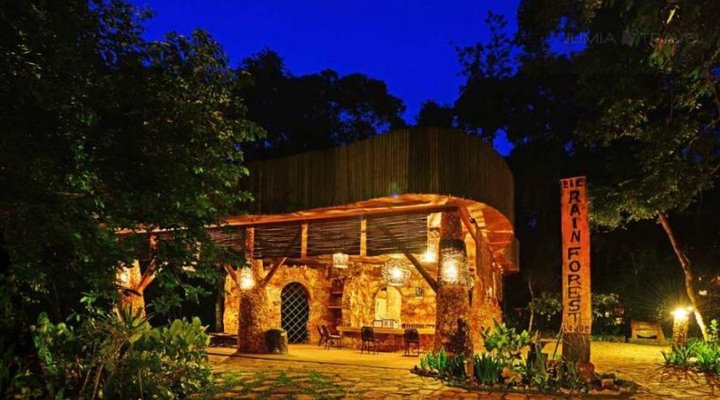 The Rainforest Lodge