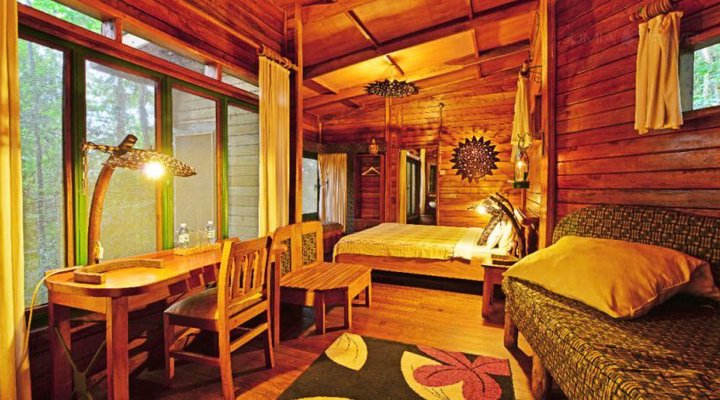 The Rainforest Lodge