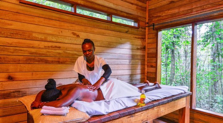 The Rainforest Lodge