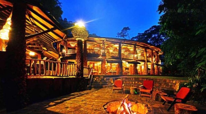 The Rainforest Lodge