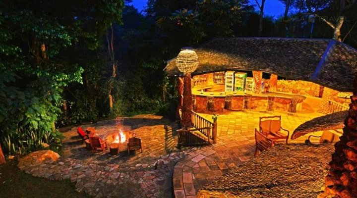 The Rainforest Lodge