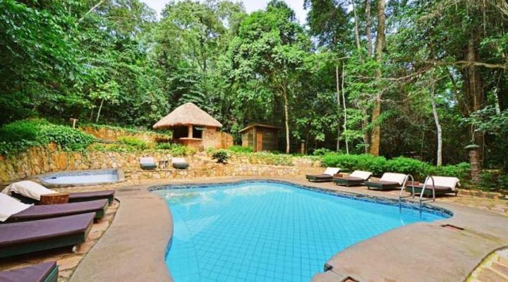 The Rainforest Lodge