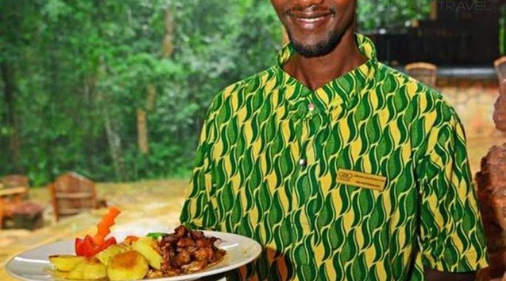 The Rainforest Lodge