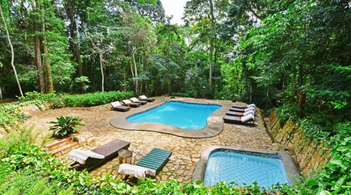 The Rainforest Lodge