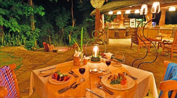 The Rainforest Lodge